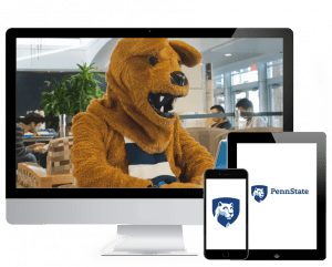 NIttany Lion at laptop working